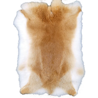 Natural Rabbit Skin Real Rabbit Hair Rex Rabbit Skin Whole Fluffy Rabbit Skin DIY Home Decor Clothing Accessories High Quality