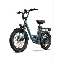 AliExpress URLIFE E20 adult E-bike 250W 48V 13Ah battery commute Electric Bike,20-inch Fat Tire city ebike