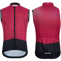 AliExpress new SYN BIEHLER Cycling Vest Sleeveless Windproof Cycling Jersey Bicycle clothing Chaleco Ciclismo MTB shirts uniform Bike Gilet