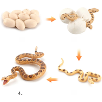 AliExpress Realistic Rattlesnake Cobras Growth Cycle Model Hand Painted Figurine,Life Cycle Of Snake Miniature Educational Toy Figures Gift