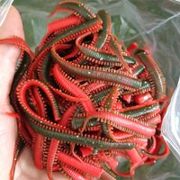 Swolfy 50pcs TPR 75mm 0.8g Saltwater Fishing Earthworm Lure red color Simulation Soft Bait Sea Fishing Insect Bait