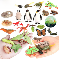 AliExpress BillBuff Latest Lifelike Animals Panda Moth Life Cycle Insect Penguin Frog Figurines DIY Action Figures Early Education Toys for Children