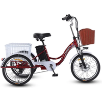 AliExpress Adult 3 wheel electric tricycle lithium Battery 12A With Pull Basket 350W 20 Inch Electric Bike Tricycle Max Speed 20Km/H