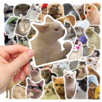 AliExpress Rspctou 10/30/50PCS Funny Cute Cat Stickers Cartoon Decals Cup Stationery Guitar Phone Bicycle Laptop Luggage Car Graffiti Toys