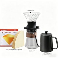 Hand Brewed Coffee Maker Set with Smart Filter Cup Gooseneck Kettle, Glass Dripper Server and V02 Filter Papers
