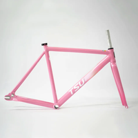 AliExpress TSUNAMI SNM100 Frameset 700C Aluminum Fixed Gear Frame and Fork Track Fixie Bike 49CM 52CM 55CM 58CM Single Speed Bicycle Parts