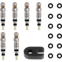 AliExpress DEEMOUNT Bicycle Presta Valve Core Brass Material CNC-machined Nickel-plated For MTB Road Tubeless Rim Nozzle Optional Metal Tool O-ring