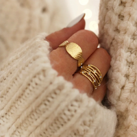 WILD & FREE Vintage 18K Gold Plated Stainless Steel Rings for Women Exquisite Chic Crystal Index Finger Ring Waterproof Jewelry