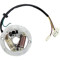 AliExpress perfeclan Double Coil Ignition Magneto Stator Plate Accessory Fit for Yamaha PW80 Motorcycle Bike Motorcycle Magneto Stator New