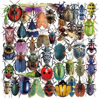 AliExpress NONE 50pcs Cartoon Cute Cartoon Insect Beetle Stickers PET for Toy DIY Luggage Laptop Guitar Skateboard Phone Case Bike Car Sticker