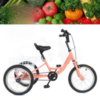 14/16Inch Single Speed Kids Tricycle Trike 3 Wheels Trike Kids Bikes Cruiser Mini Bike with Shopping Basket