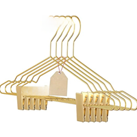 2pcs Clothes Hangers Metal Clips Hangers 16.5 Inch Rose Pants Wire Suit Coat Hanger for Storage & Display 2 Pcs(Golden)