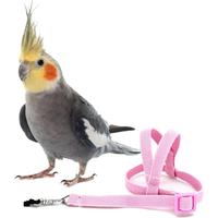 Hot Sale Anti-bite Flying Training Rope Parrot Bird Pet Leash Kits Ultralight Harness Leash Soft Portable Pet Playthings