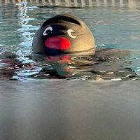 Pingu Penguin Elastic Waterproof PU Protect Ears Long Hair Sports Swim Pool Hat Swimming Cap Free Size for Women & Men Adults