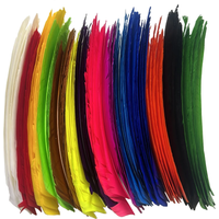 50Pcs Natural Feather Long Feather Fletching Arrow Feathers Multicolor Full length Real Turkey Feather NO Cut