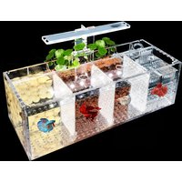 Aquarium Fish Tank For Betta Fish & Aquatic Heating Pad LED Light Acrylic Isolation Small Plexiglass Pump Filter Fishbowls