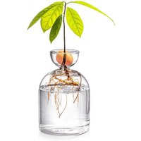 For Growing Plant Glass Seed Growing Kit For Gardening Lovers Avocado Seed Starter Vase Transparent Glass Vase Vase