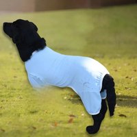 Soft Dog Jumpsuit Quick Dry Sweat absorbent Fashion Outfit Summer Pet UV Clothes