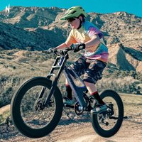 AliExpress 22inch Soft Tail MTB Bike DH Mountain Bicycle Magnesium Alloy 7 Speed Frame Disc Brake Double Suspension Front Fork