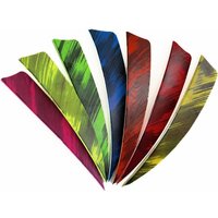 50pcs 3/4/5inch Archery Arrow Feather Fletching Ink Painting High Quality Real Archery Fletches Bow And Arrow Accessories
