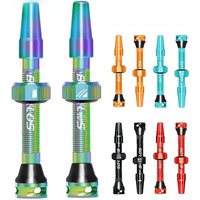 AliExpress BUCKLOS Bike Tubeless Valve 40MM 44MM 55MM 60MM Road Mountain Bicycle Presta Valves High Quality Tire Nipple MTB Accessories