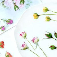 Pressed rose Bud flower core dry flower DIY plant photo frame handmade Epoxy aromatherapy bookmark drip glue phone case,12pcs