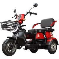 AliExpress Open-Body Fat Tire Electric Tricycle For Adults 3-Wheel Passenger Electric Bike With 45KM Range
