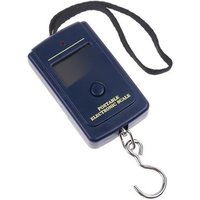 Mini Digital Scale 40kg X 10g Portable Fishing Luggage Travel Weighing Electronic Hook Scale with Steelyard Hanging