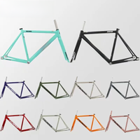 AliExpress TSUNAMI SNM100 High Quality Single Speed Bicycle Frameset Fixed Gear 700c Aluminum Frame and Fork 49cm 52cm 55cm 58cm MTB Frame