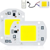 LED COB Chip 110V 220V 10W 20W 30W 50W COB Lamp Smart IC No Need Driver LED Bulb Cold/Warm white DIY Spotlight Lampada Lighting