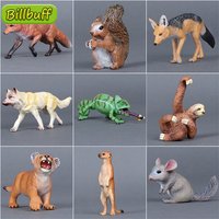 Simulation Wild Animals Zoo Wolf Monkey Fox Chameleon Pangolin Squirrel Chinchilla Donkey Sloth Model Figures Educational toys