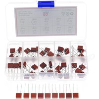 50Pcs/Box 10 Kinds x 5pcs 392 Square Fuse Plastic Electrical Assorted Fuse Mix Set 0.5A 1A 1.25A 1.6A 2A 2.5A 3.15A 4A 5A 6.3A