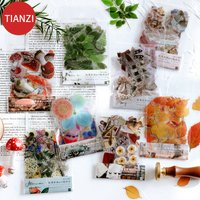 40Pcs/pack Plant Flower Mushroom Ginkgo PET Deco Diary Stickers Scrapbooking Planner INS Decorative Stationery Sticker