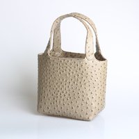 Women's Bag Bucket Bags Female Tote Bag High Quality Hand Bag Ladies Designer Luxury Ostrich Leather Shoulder Bag Organizer