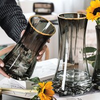 Light luxury gold-painted creative simple transparent glass vase, water-grown flowers lily Nordic living room flower arrangement