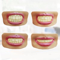 4 PCS Dental Lab Esthetics Lip Checking Teeth Arrangement Midline Inner Illusion Effect - 4 Different Mouth Shape