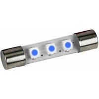 20 Royal Blue AC8V LED Lamp Fuse Type Bulbs for Marantz Sansui Keenwood Pioneer Receivers and Other Vintage Amplifiers
