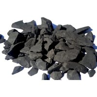 100 Grams Shungite Stones for Water Purification, Stones from Karelian