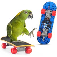 1 PC Parrot Training Skateboard Bird Supplies Skates Lovebird Canaries Perch for Parrots For Birds Calopsita Birds Accessories