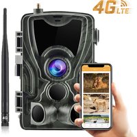 Kamera leśna 4G bezprzewodowa 4K 30MP HC801PRO - Transmisja na żywo, darmowa aplikacja, usługa chmurowa do monitoringu dzikiej przyrody, fotopułapka