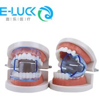Dental Teeth Retractor Orthodontic Teeth Opening Anterior Posterior Cheek Retractor Expander Dental Accessories