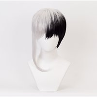 Cosplay Asagiri Gen Black Silver White Mixed Heat Resistance Fiber Men's Synthetic Hair Costume Cosplay Wig + Wig Cap