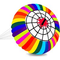 Outdoor Sports 2.5m Power Software Kite /Very Nice For Kite Festival