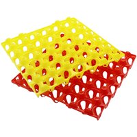 10 Pcs Egg Tray 30 Eggs Zstorage Rack Chicken Farming Equipment Incubator Storage Egg Tray 29x29x 5cm