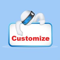 Payment for the Customize product