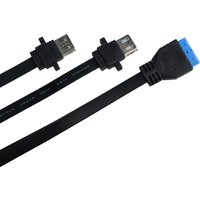 RGEEK Dual 2 Port USB 3.0 Front Panel Extension Cable A Type Female to 20 Pin Box Header Female Slot Adapter Cable