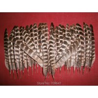 200Pcs/LOT,13-20CM NATURAL Ringneck Pheasant Wing Feathers,Wholesale Plume Quills,Male/Female Ringneck Quills