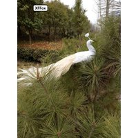 80cm White Peacock Model Realistic Foam Feather Simulation Beautiful Bird Home Decor And Gift