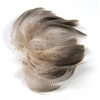 100PCS/Bag Natural Barred Mallard Duck Flank Feathers Wild Goose Hair for Fly Wings Tails Streamers Fly Tying Material