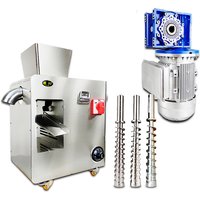 Oil Press Machine Stainless Steel Commercial Home Peanut Extractor Hot Soybean Sesame Expeller Price